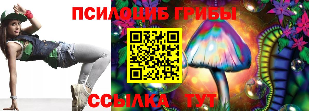 Воронеж  Псилоцибиновые грибы Cubensis  Вход с VPN 